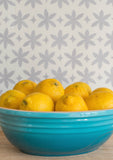 Metolius Graphite Grey Paper Flower Wallpaper Kitchen Detail
